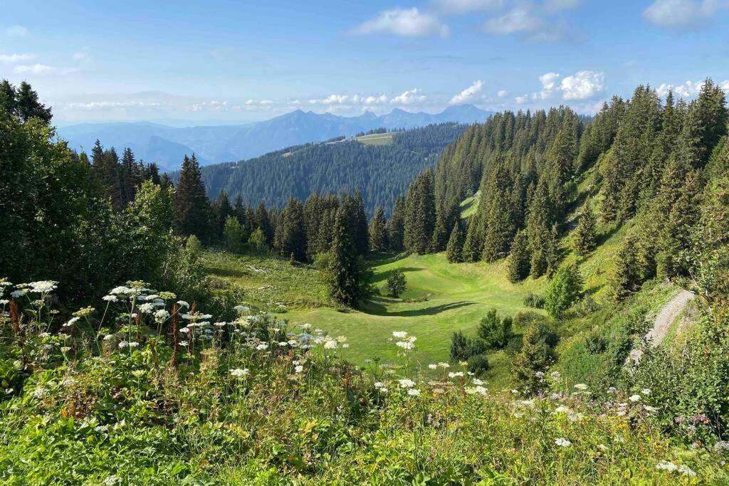 Vue Panoramique Sur Les Montagnes Plein Sud - T2 Skis Aux Pieds, Piscine & Spa Flaine Exterior photo