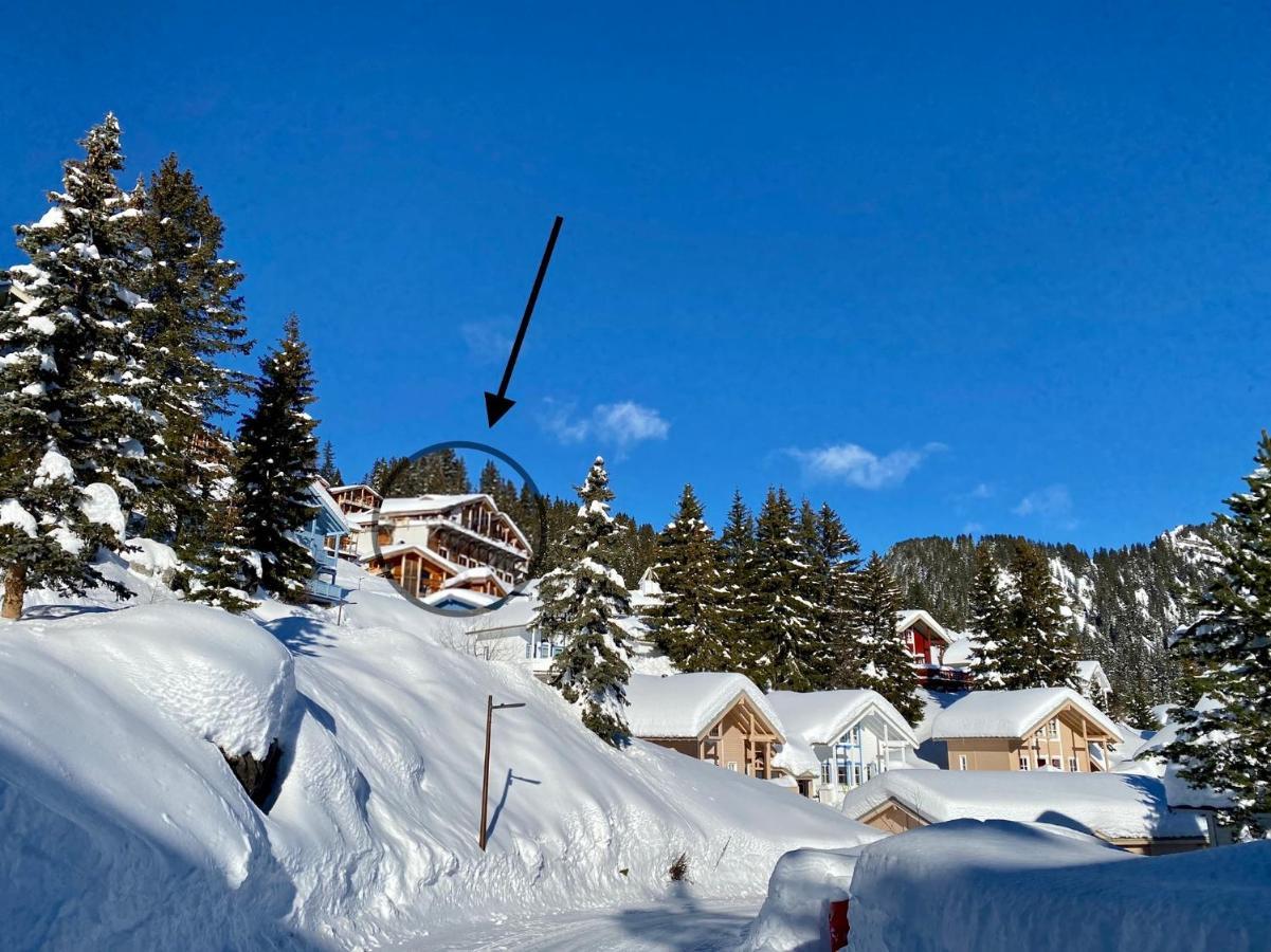 Vue Panoramique Sur Les Montagnes Plein Sud - T2 Skis Aux Pieds, Piscine & Spa Flaine Exterior photo